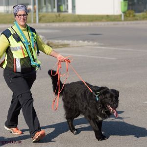 Mantrailing Rätsel Rallye