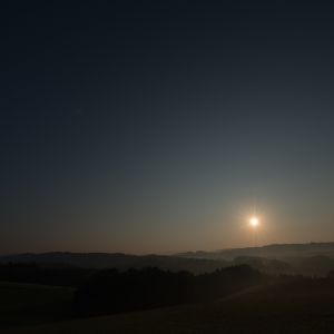 Urlaub mit Hund auf Gut Feuerschwendt