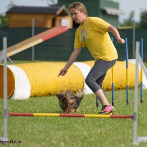 Agility Turnier des ÖSPSC