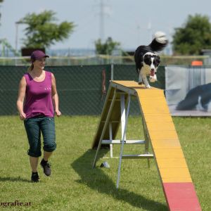 Agility Turnier des ÖSPSC