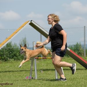 Agility Turnier des ÖSPSC