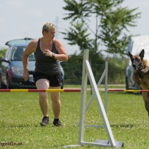 Agility Turnier des ÖSPSC