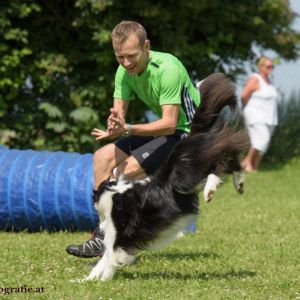 Agility Turnier des ÖSPSC