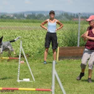 Agility Turnier des ÖSPSC