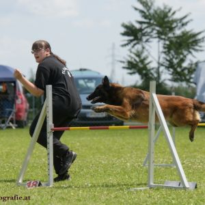 Agility Turnier des ÖSPSC