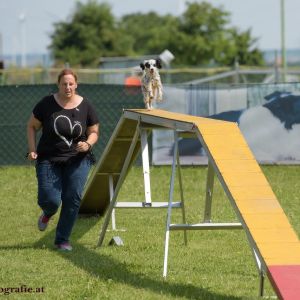 Agility Turnier des ÖSPSC