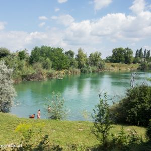 Badeteich Süßenbrunn