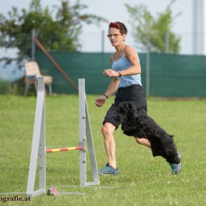 Agility Turnier des ÖSPSC