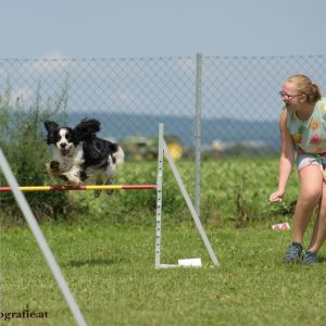 Agility Turnier des ÖSPSC