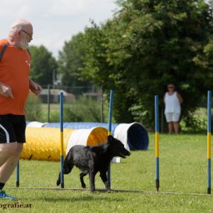 Agility Turnier des ÖSPSC