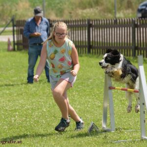 Agility Turnier des ÖSPSC