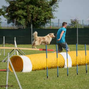 Agility Turnier des ÖSPSC