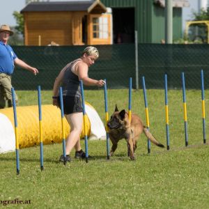 Agility Turnier des ÖSPSC