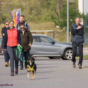 Mantrailing Rätsel Rallye