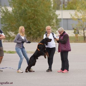 Mantrailing Rätsel Rallye