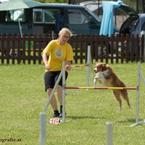 Agility Turnier des ÖSPSC