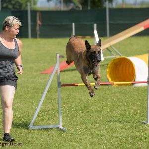 Agility Turnier des ÖSPSC