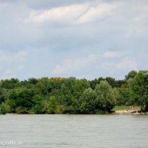 Hundestrand Donauinsel Nord
