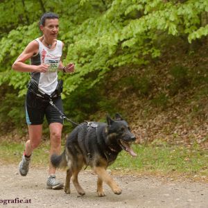 Canicross Berglauf Dreistetten