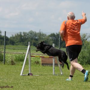 Agility Turnier des ÖSPSC