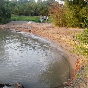 Hundestrand Donauinsel Nord