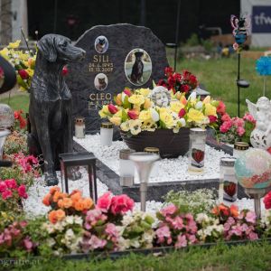 Tierfriedhof Wien