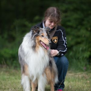 Kurzhaarcollie Treffen in Sulz im Wienerwald