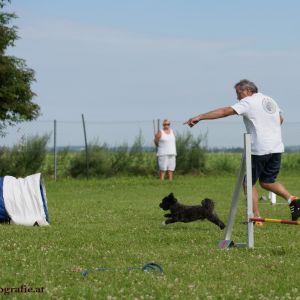 Agility Turnier des ÖSPSC