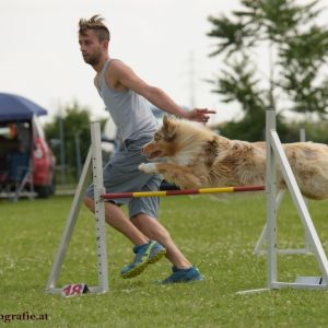 Agility Turnier des ÖSPSC