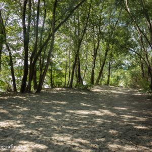 Hundestrand Donauinsel Nord