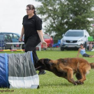 Agility Turnier des ÖSPSC