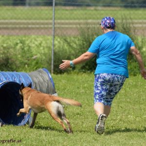 Agility Turnier des ÖSPSC