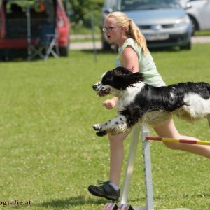 Agility Turnier des ÖSPSC