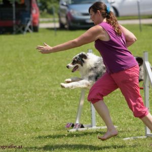 Agility Turnier des ÖSPSC