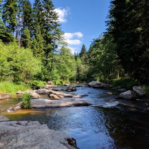 Der Kamp ist mit einer Länge von 153 Kilometern der längste Fluss im Waldviertel