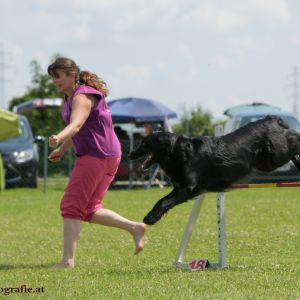 Agility Turnier des ÖSPSC