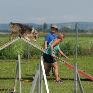 Agility Turnier des ÖSPSC