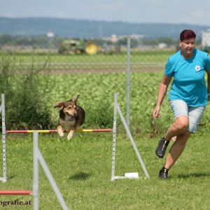 Agility Turnier des ÖSPSC