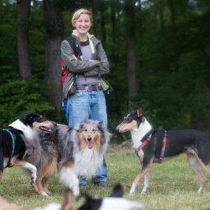 Kurzhaarcollie Treffen in Sulz im Wienerwald