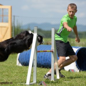 Agility Turnier des ÖSPSC