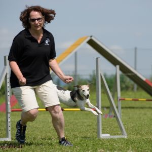 Agility Turnier des ÖSPSC