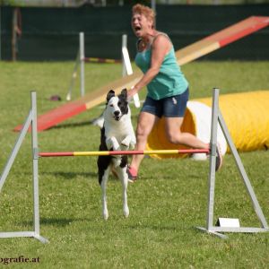 Agility Turnier des ÖSPSC