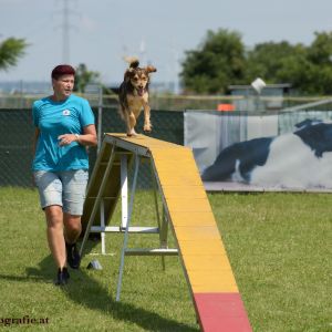 Agility Turnier des ÖSPSC