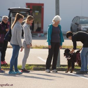 Mantrailing Rätsel Rallye