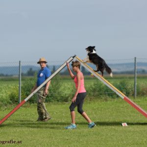 Agility Turnier des ÖSPSC