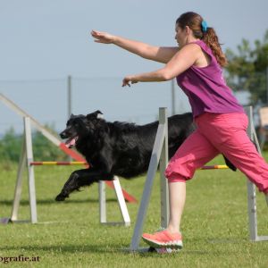 Agility Turnier des ÖSPSC