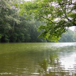 Heustadlwasser