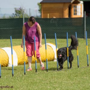 Agility Turnier des ÖSPSC