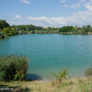 Badeteich Süßenbrunn