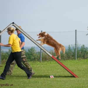 Agility Turnier des ÖSPSC